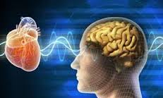 "El corazón tiene razones que la mente no puede entender"